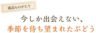 今しか出会えない、季節を待ち望まれたぶどう