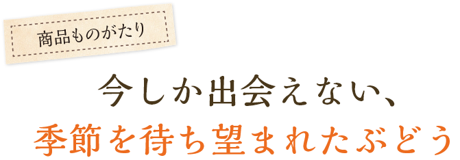 今しか出会えない、季節を待ち望まれたぶどう