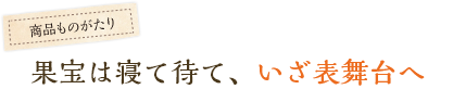 果宝は寝て待て、いざ表舞台へ