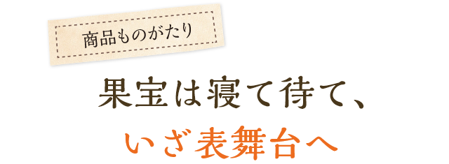 果宝は寝て待て、いざ表舞台へ