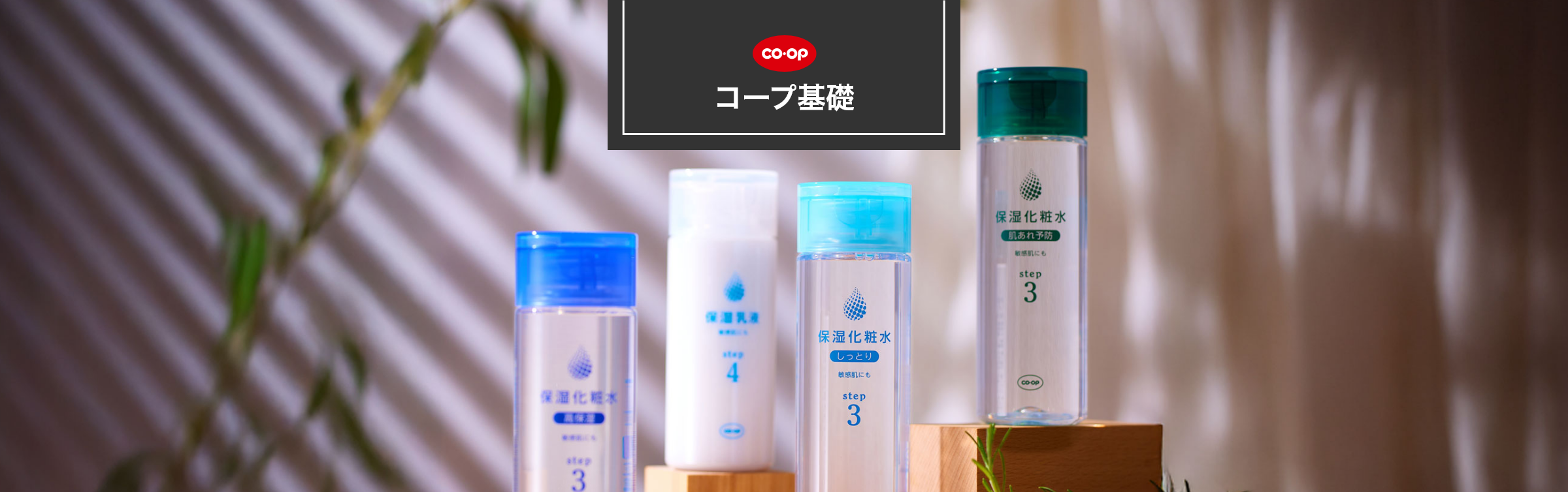 コープ基礎