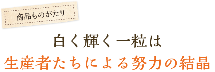 白く輝く一粒は生産者たちによる努力の結晶