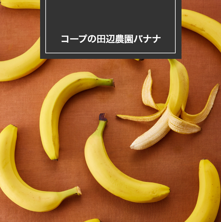コープの田辺農園バナナ