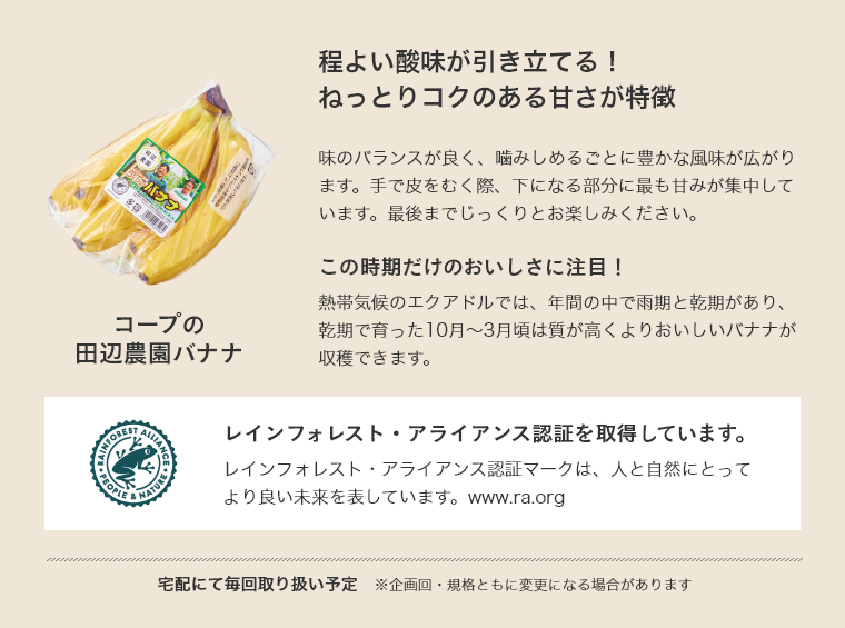 コープの田辺農園バナナ