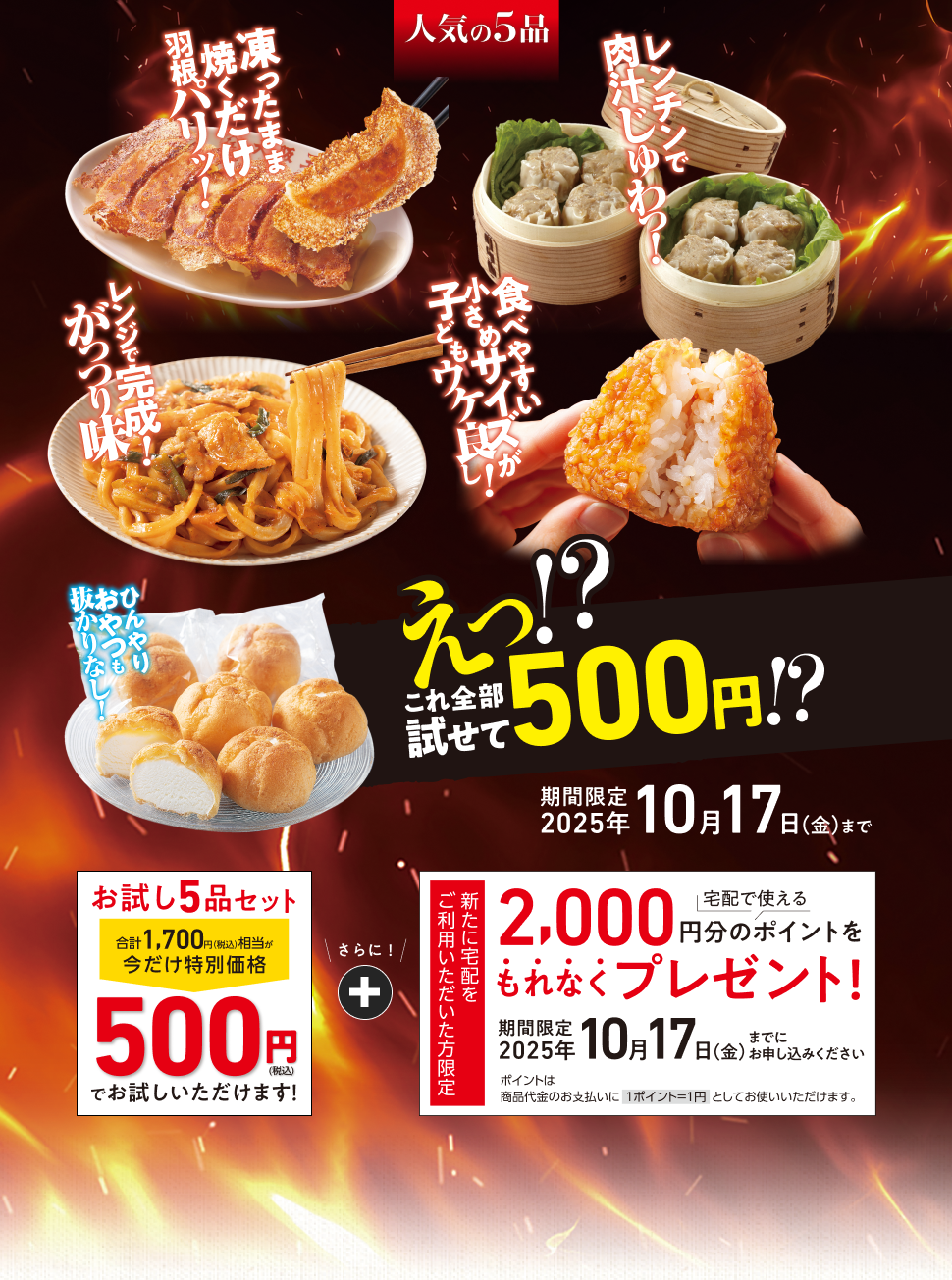 税込1,700円相当のセット5点が500円でお試しできます