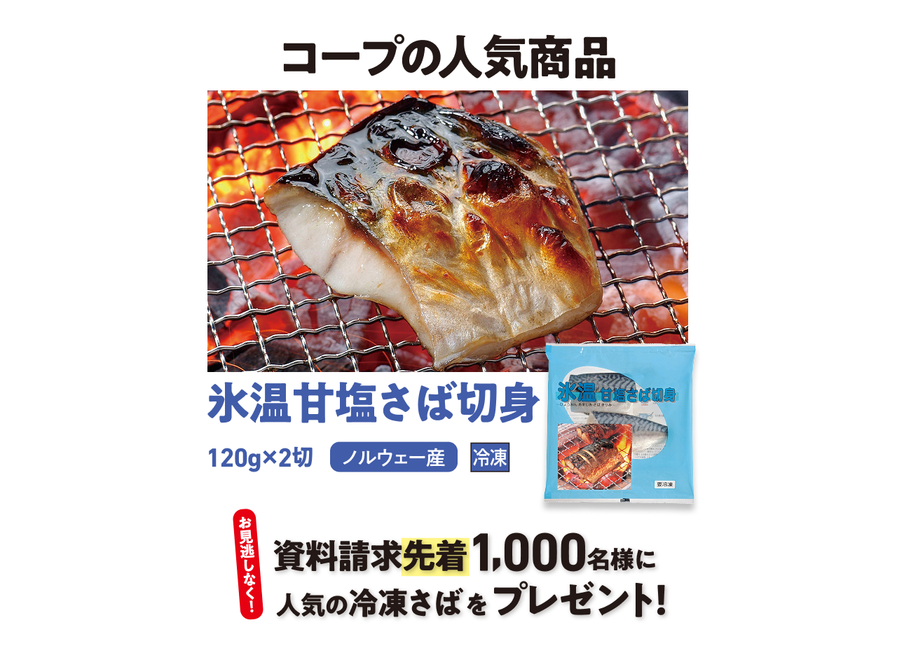 コープの人気商品　氷温甘塩さば切身 冷凍 ノルウェー産