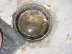 Before画像1