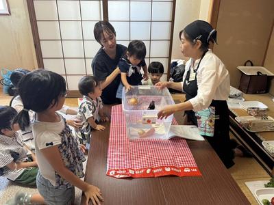 水槽実験.jpg