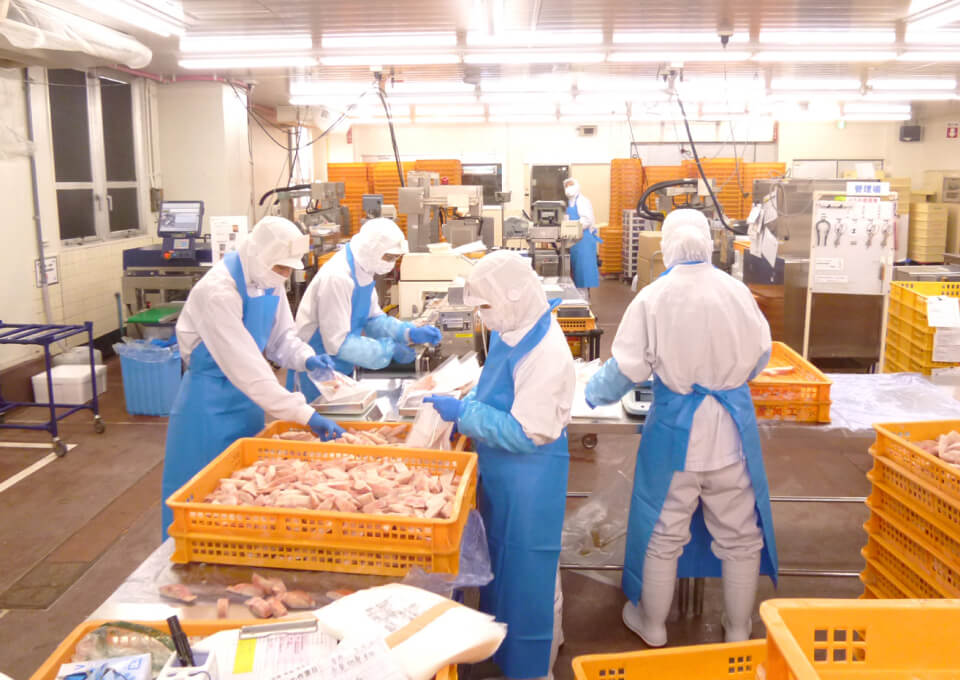 水産加工場袋詰め作業