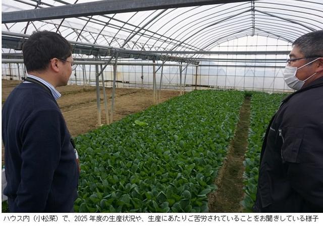 ハウス内（小松菜）で2025年度の生産状況などをお聞きしている様子.jpg