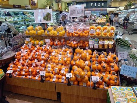桃山農産果物.jpg